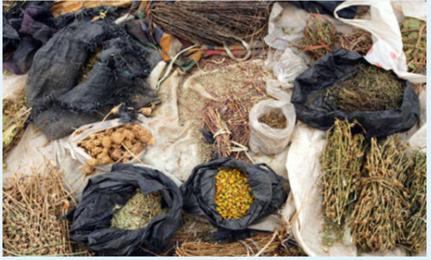 What Does Muti Look Like