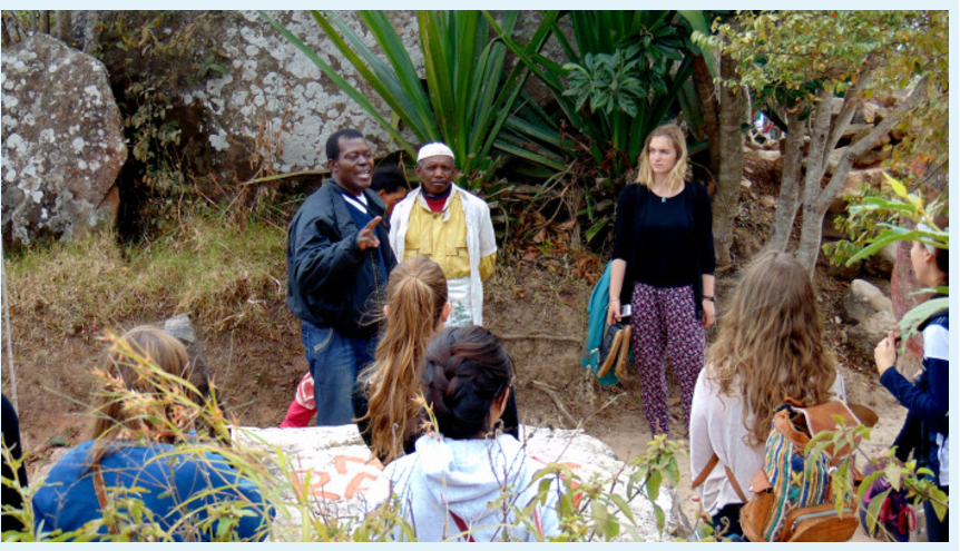 Different Types Of lsiwasho