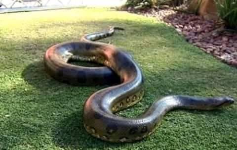 What is Your View On Ukuthwala