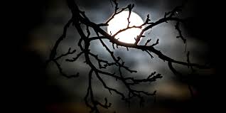 Real Witch Spells That Actually Work