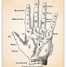 Best Online Palm Readings