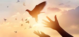 Spell To Make Someone Forgive And Forget